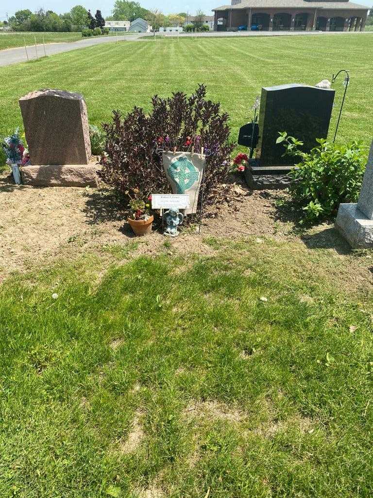 Robert T. Lester's grave. Photo 2