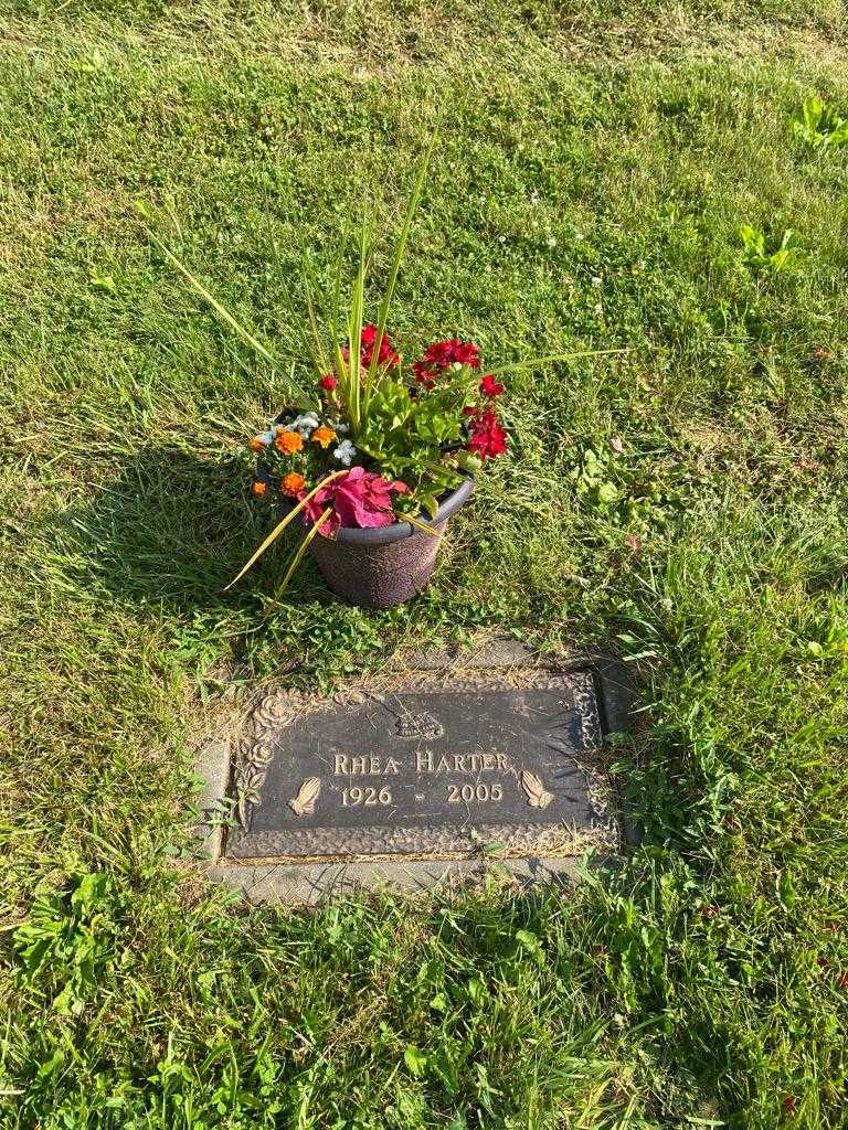 Rhea Harter's grave. Photo 3