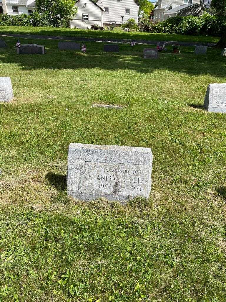 Anibal Colls's grave. Photo 2