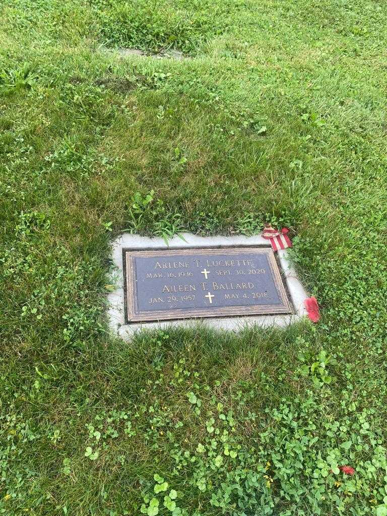 Aileen T. Ballard's grave. Photo 5