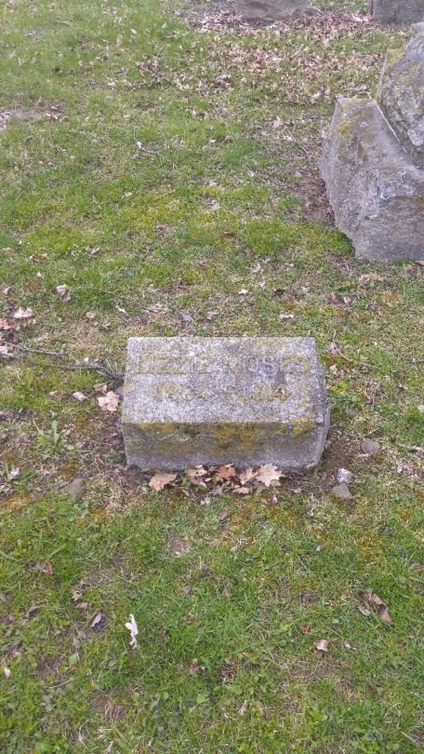 Lizzie Moses's grave. Photo 2
