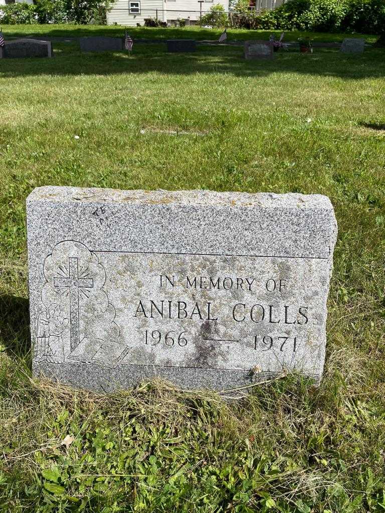 Anibal Colls's grave. Photo 3