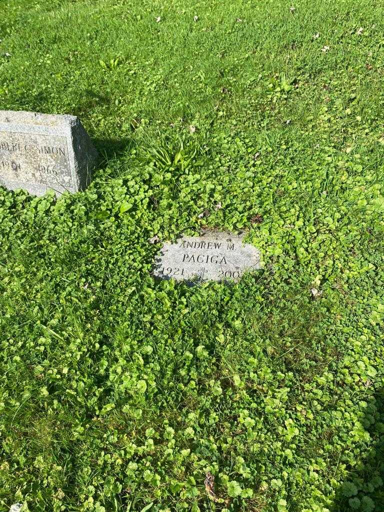 Andrew M. Paciga's grave. Photo 2