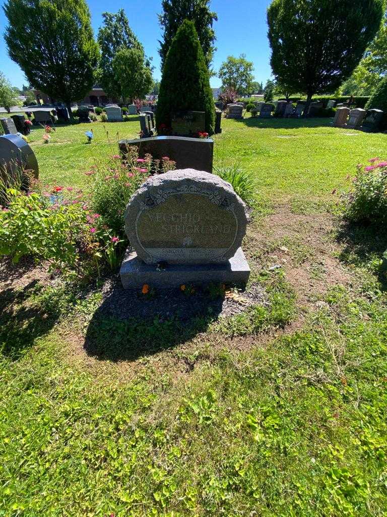 James Vecchio Strickland Senior's grave. Photo 1
