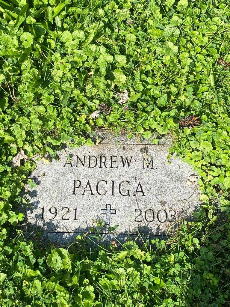 Andrew M. Paciga's grave. Photo 3