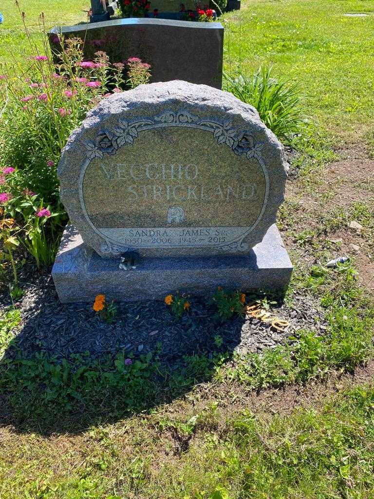 James Vecchio Strickland Senior's grave. Photo 2