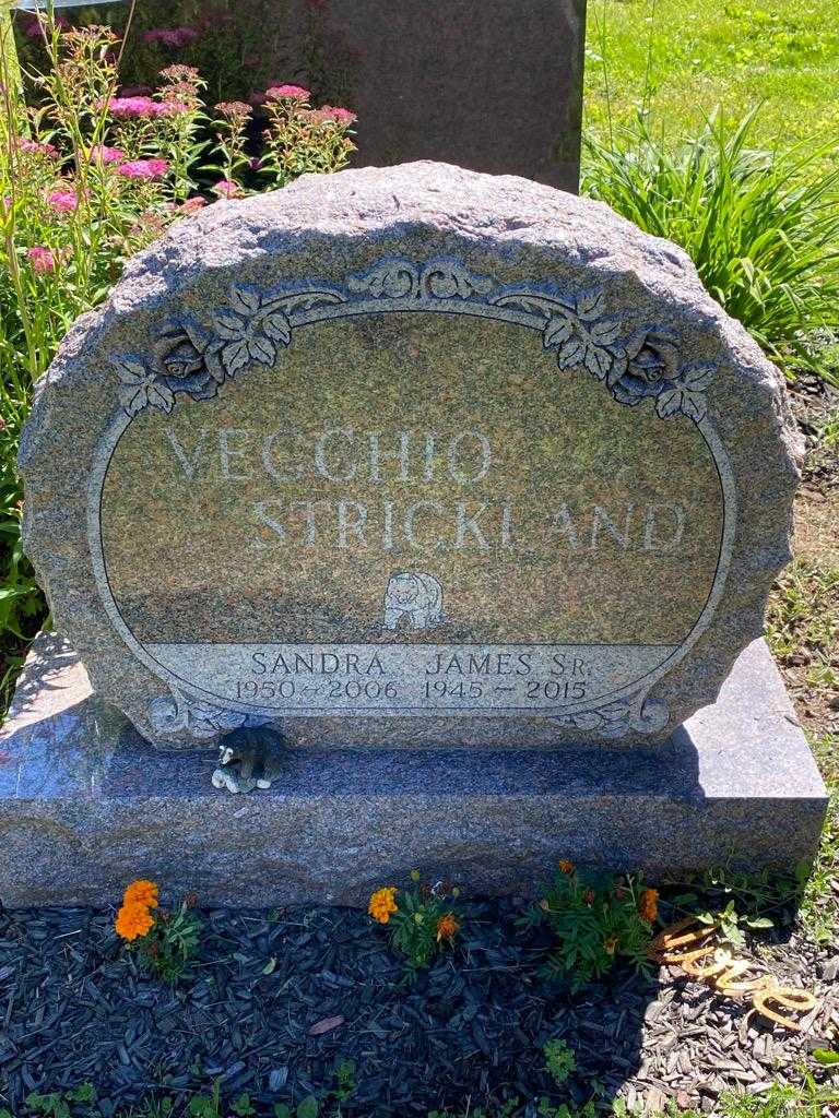 James Vecchio Strickland Senior's grave. Photo 3