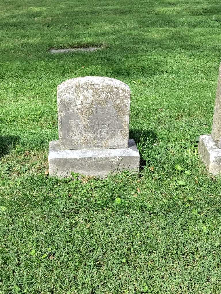 Theresa Reichert's grave. Photo 2
