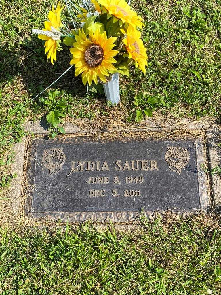 Lydia Sauer's grave. Photo 3