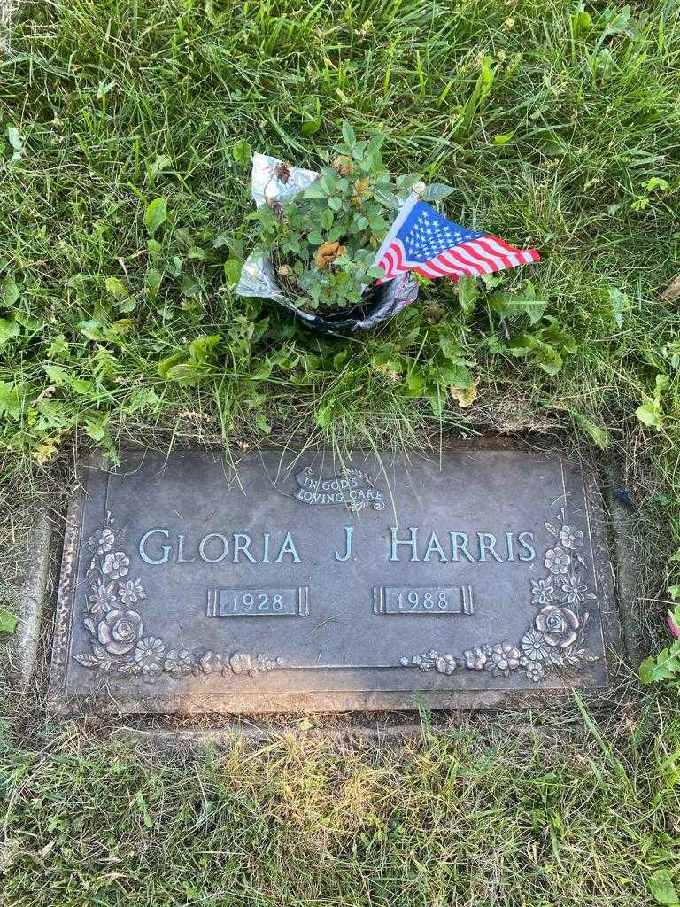 Gloria J. Harris's grave. Photo 3