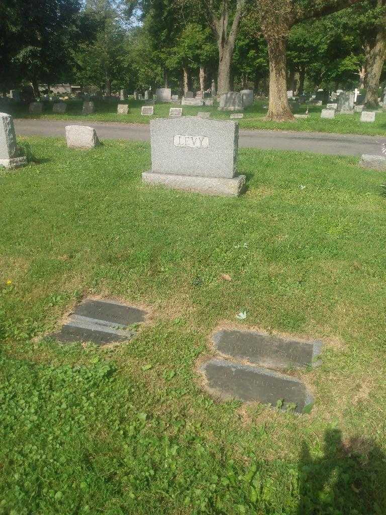 Louise White Levy's grave. Photo 1