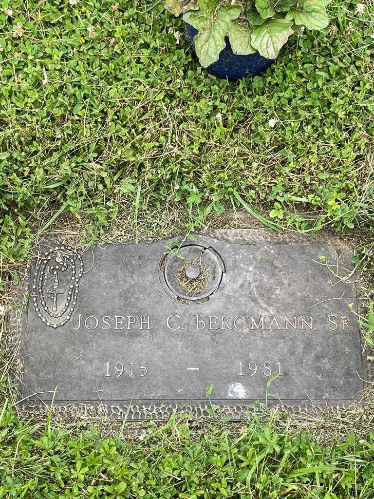 Joseph C. Bergmann Senior's grave. Photo 3