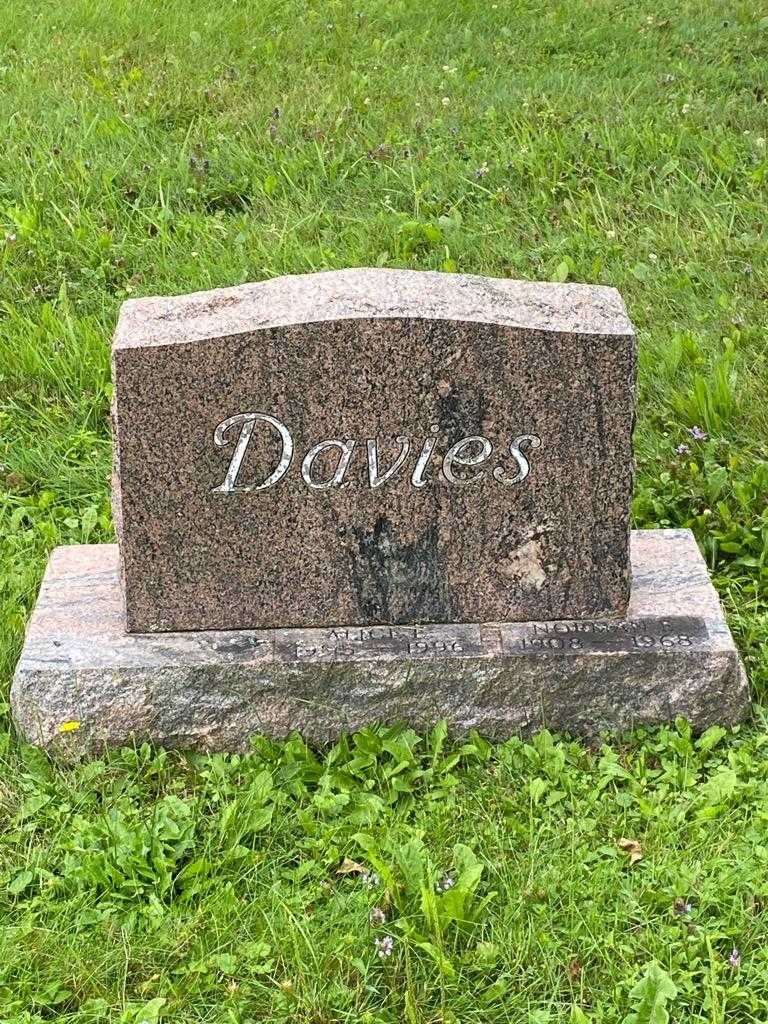 Norman E. Davies's grave. Photo 2