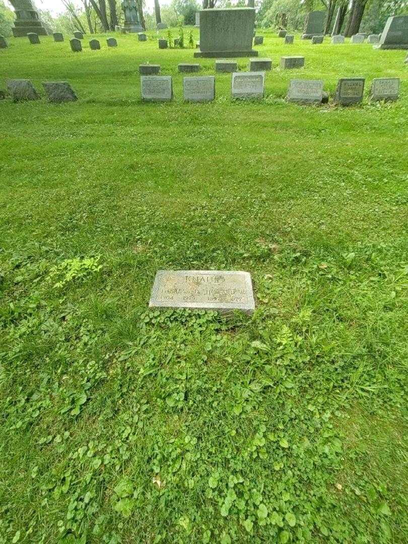 Howard W. Knaul's grave. Photo 1