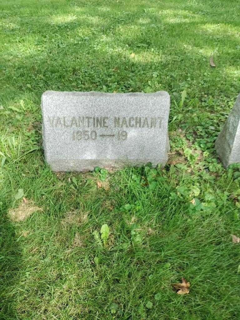 Valentine Nachant's grave. Photo 2