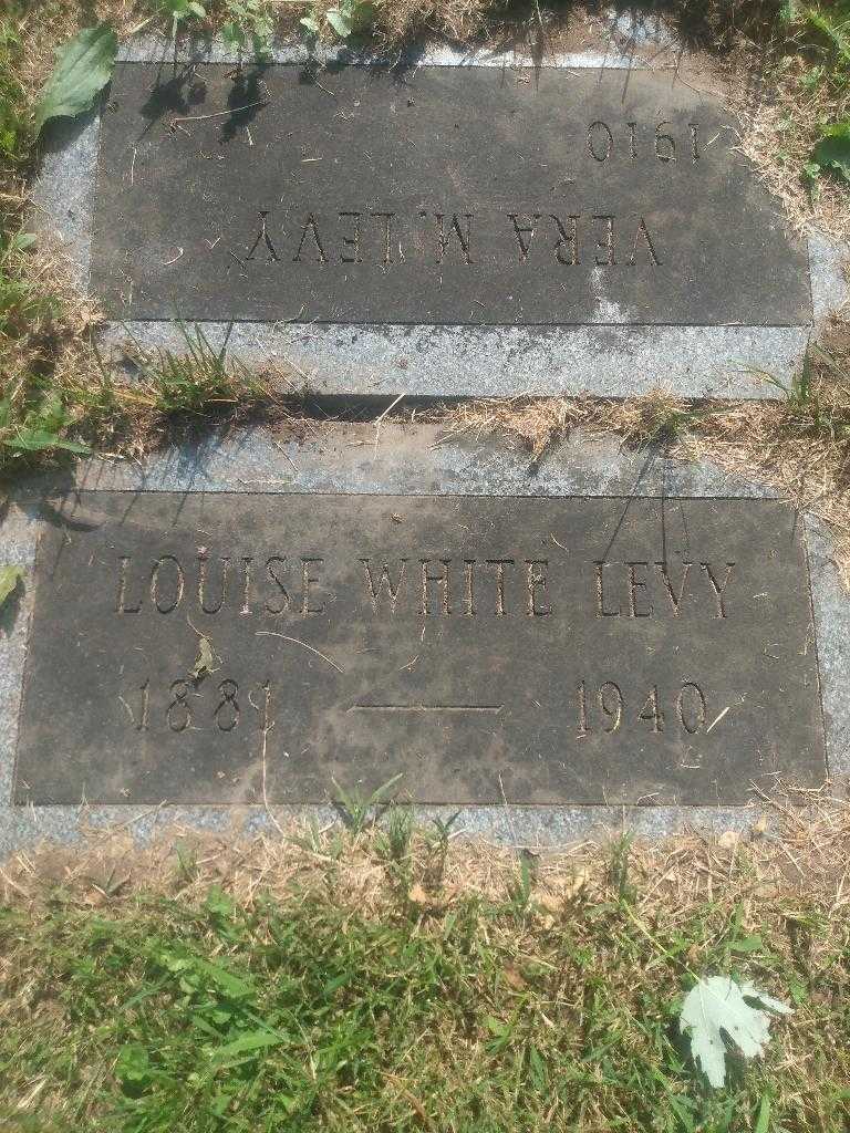 Louise White Levy's grave. Photo 3