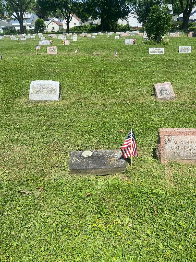 Ward McIntyre's grave. Photo 2