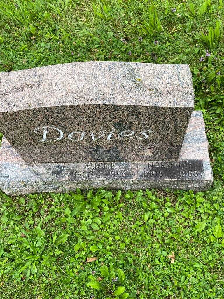 Norman E. Davies's grave. Photo 3