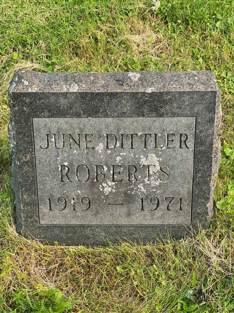 June Roberts Dittler's grave. Photo 3