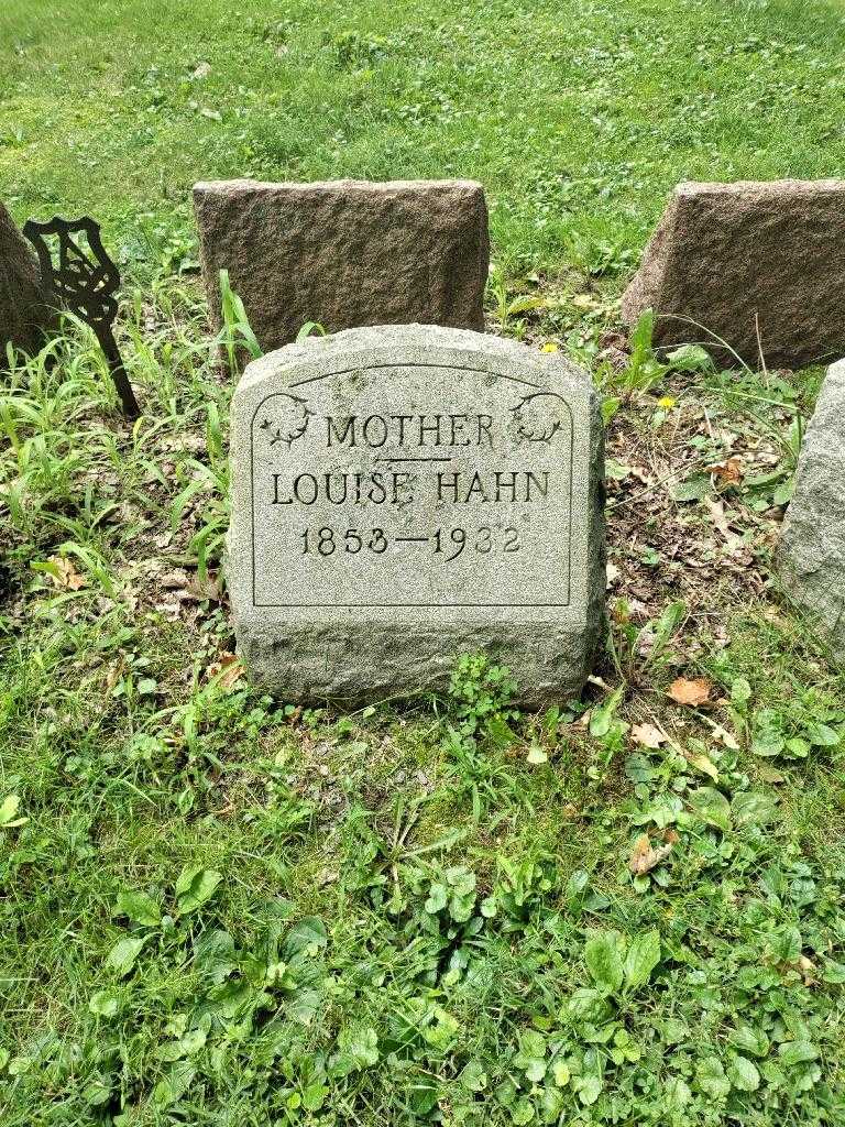 Louise Hahn's grave. Photo 2
