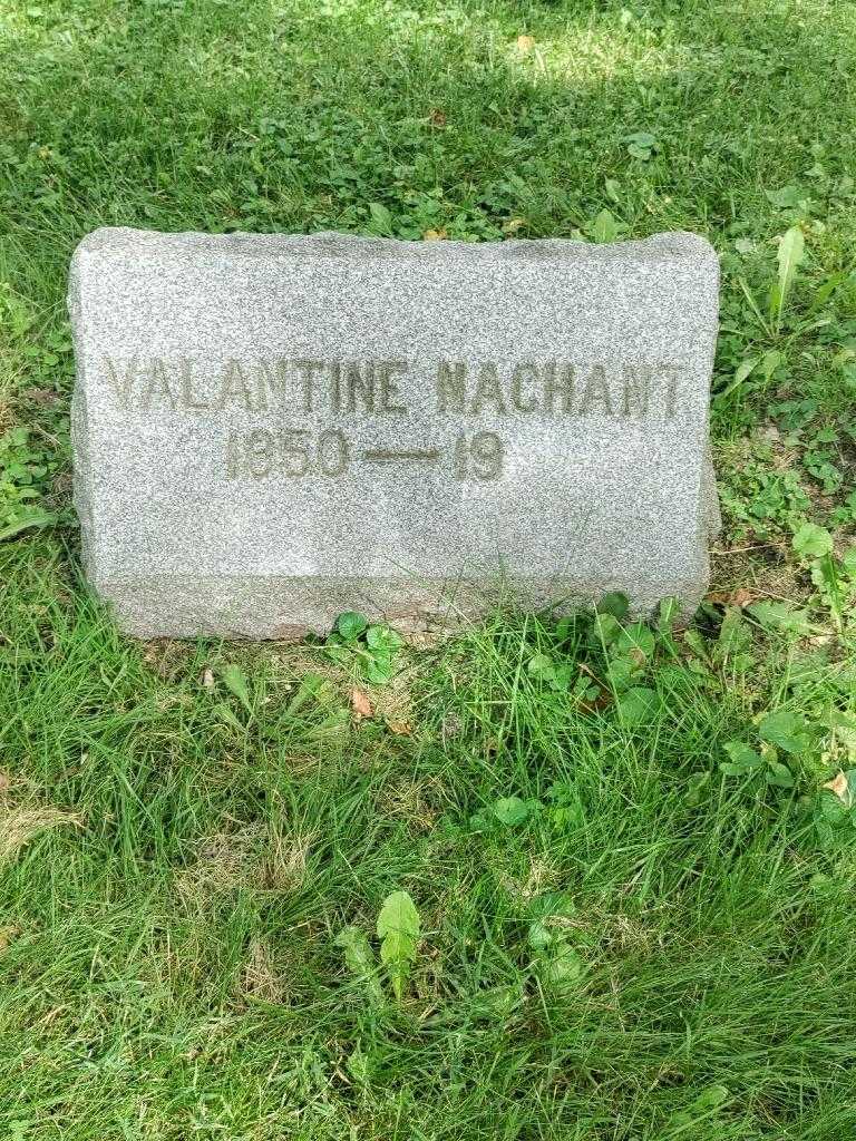 Valentine Nachant's grave. Photo 3