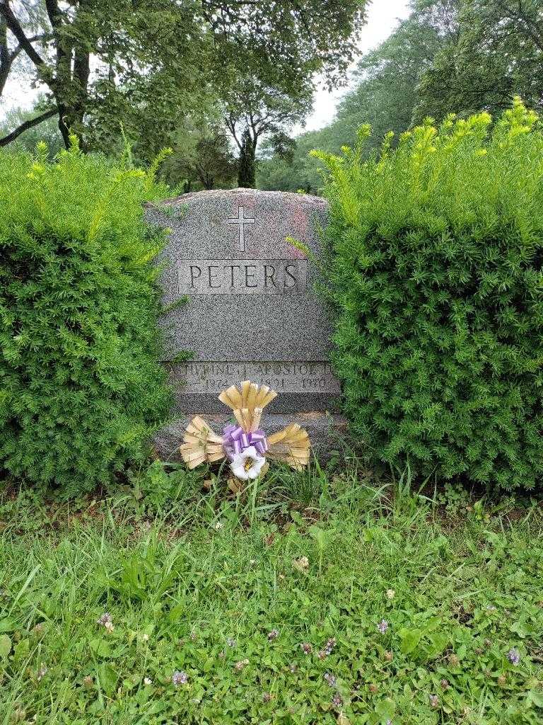 Apostol D. Peters's grave. Photo 2