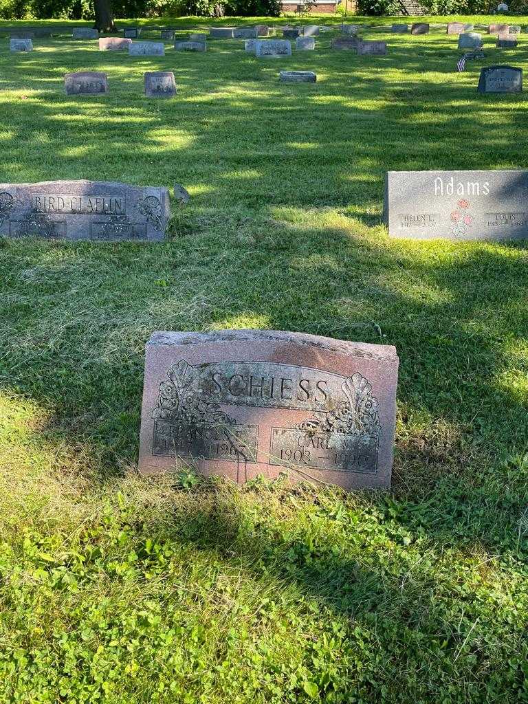 Frances F. Schiess's grave. Photo 2