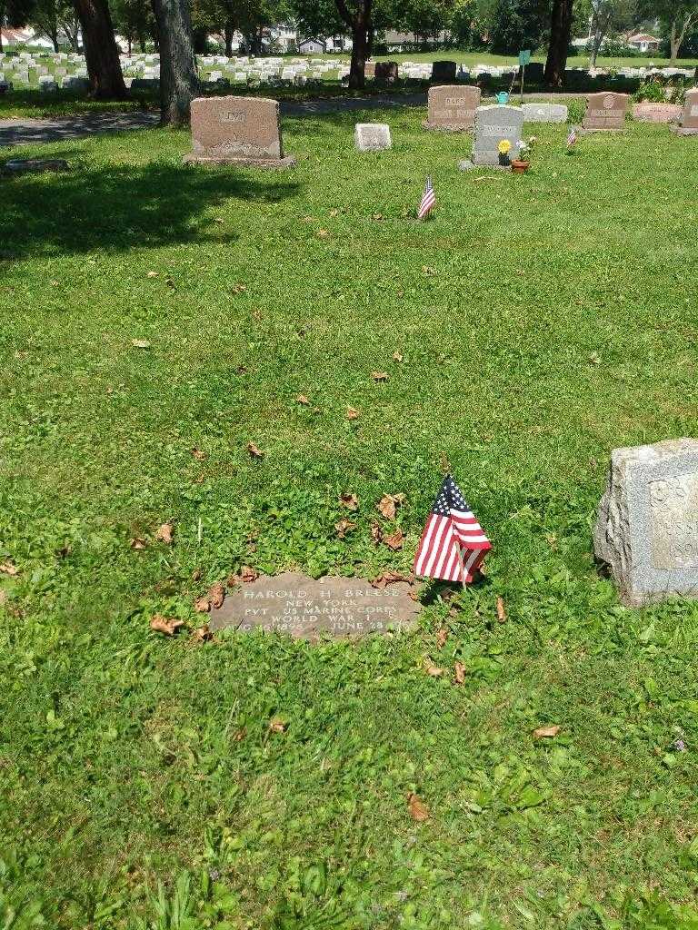 Harold H. Breese's grave. Photo 1