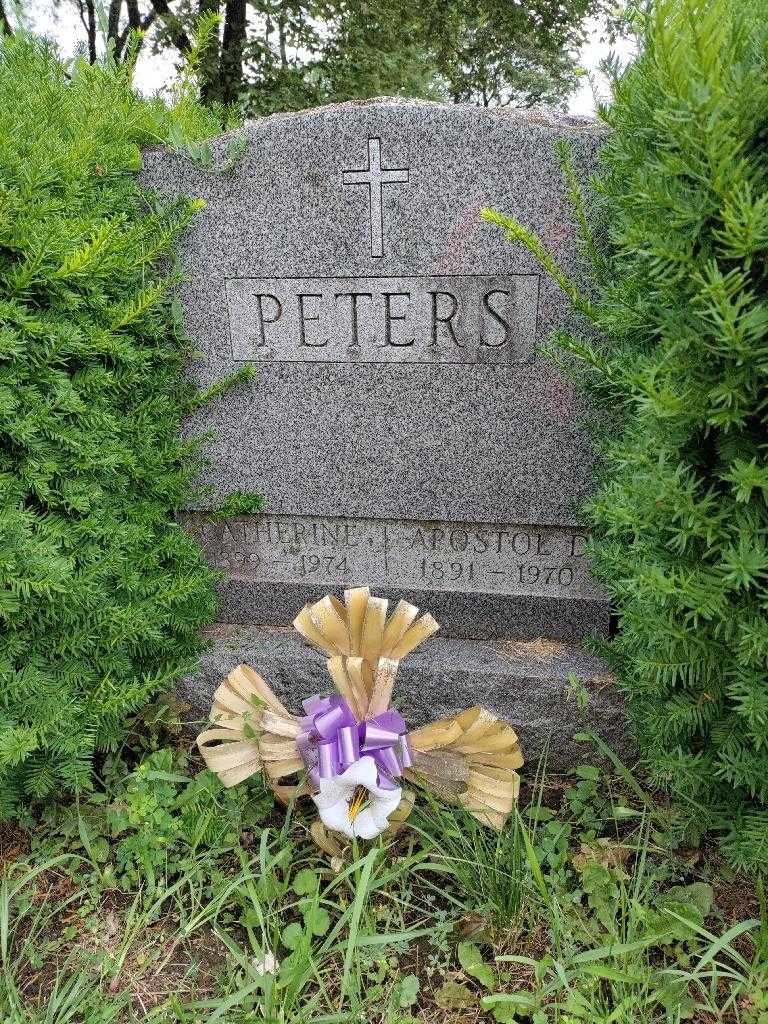 Apostol D. Peters's grave. Photo 3