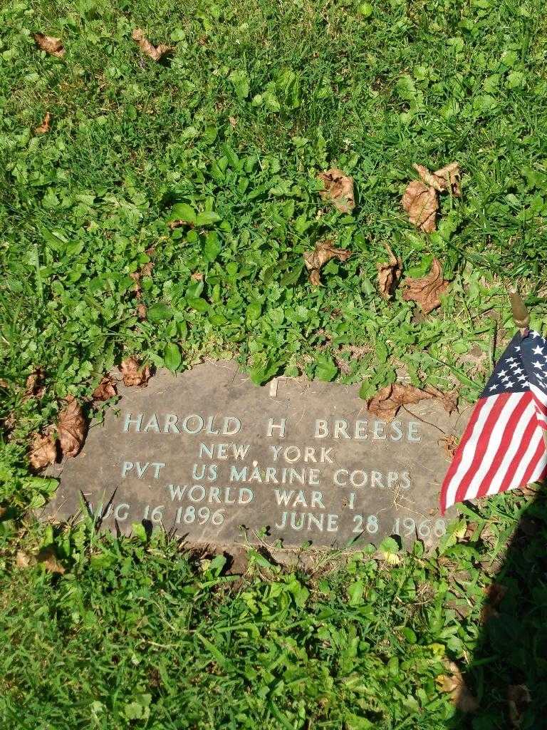 Harold H. Breese's grave. Photo 2