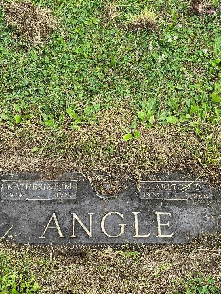 Carlton D. Angle's grave. Photo 3