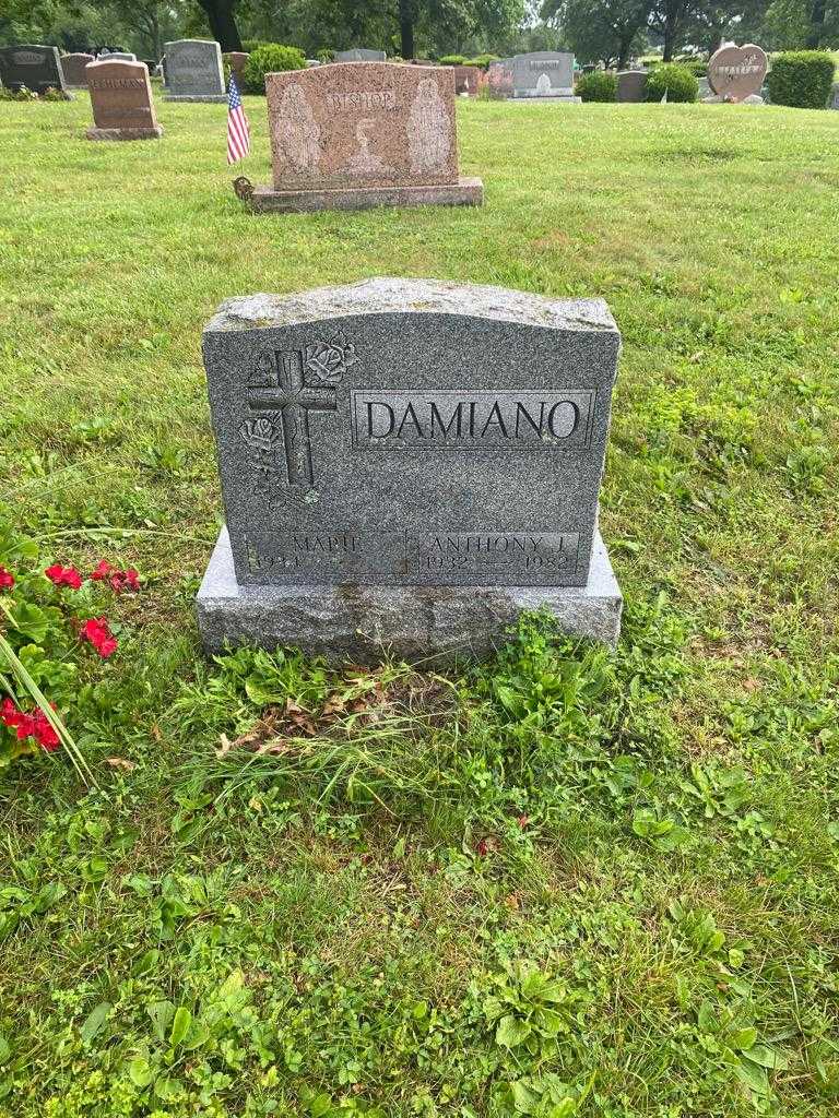 Anthony J. Damiano's grave. Photo 2