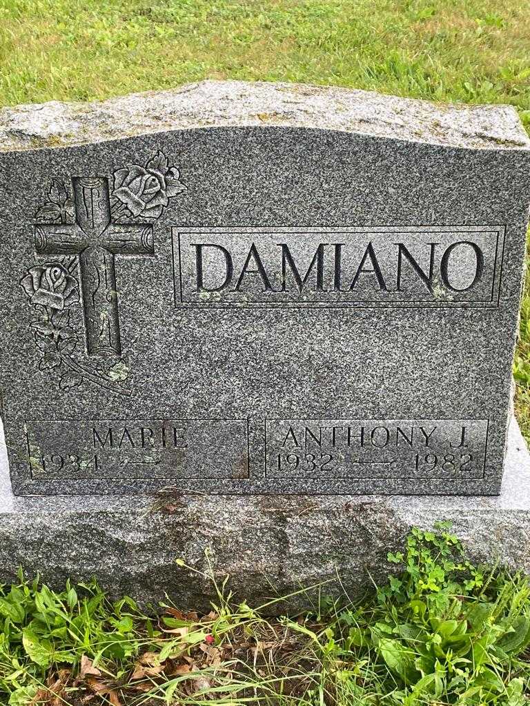 Anthony J. Damiano's grave. Photo 3