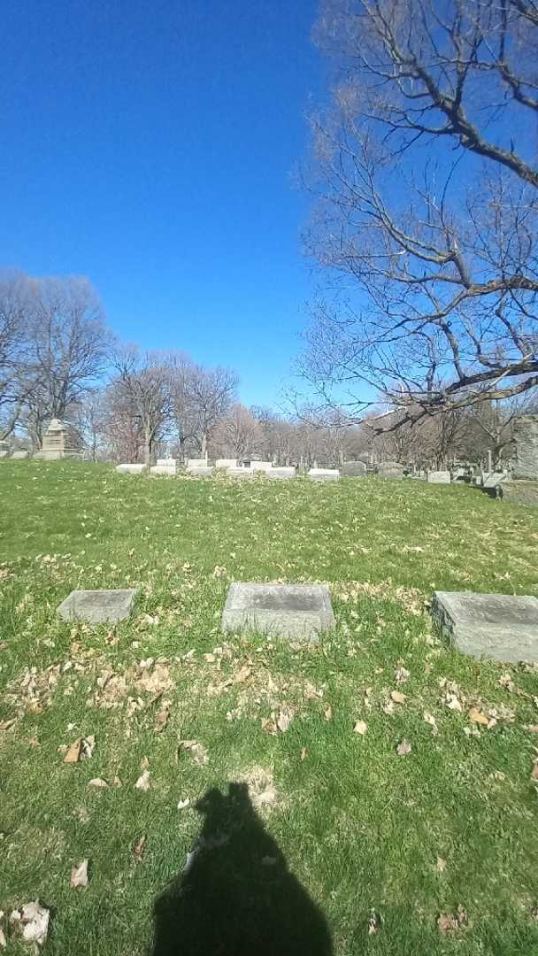 Almeda D. Reid's grave. Photo 1