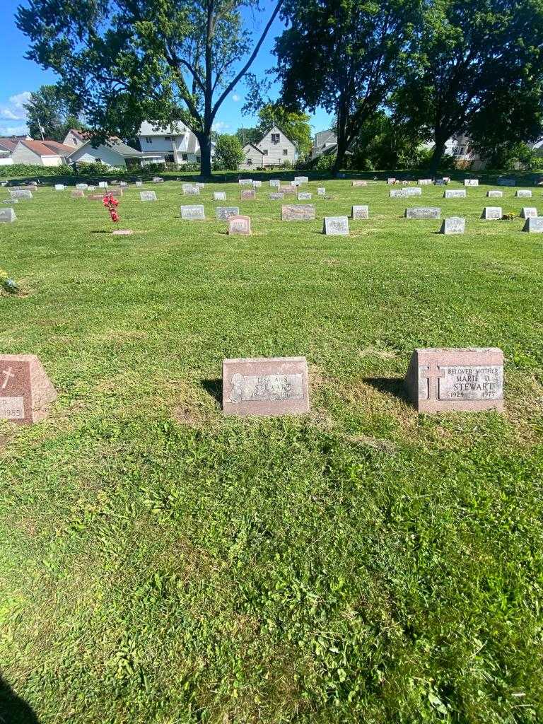 Lisa Ann Stewart's grave. Photo 1