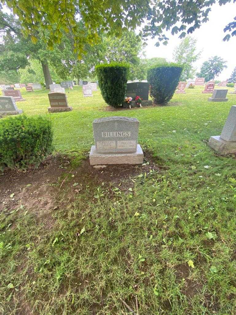 Paul J. Billings Senior's grave. Photo 1