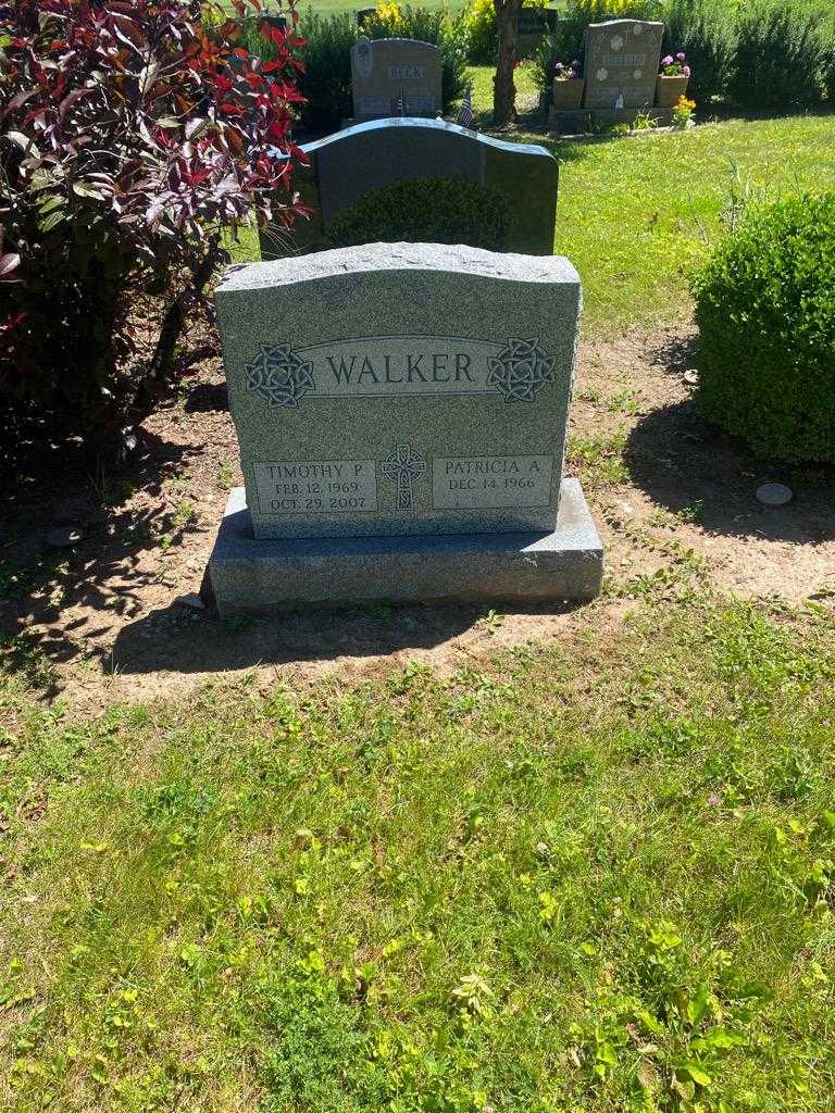 Timothy P. Walker's grave. Photo 2