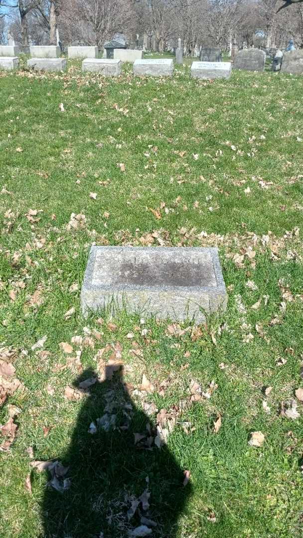 Almeda D. Reid's grave. Photo 2