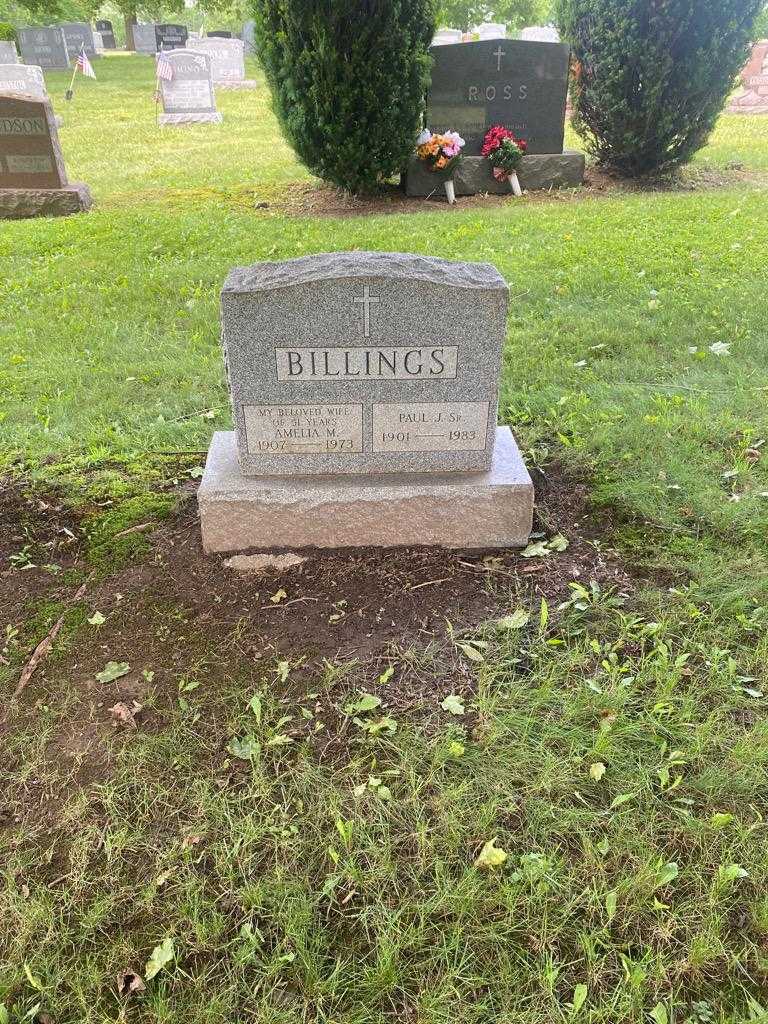 Amelia M. Billings's grave. Photo 2