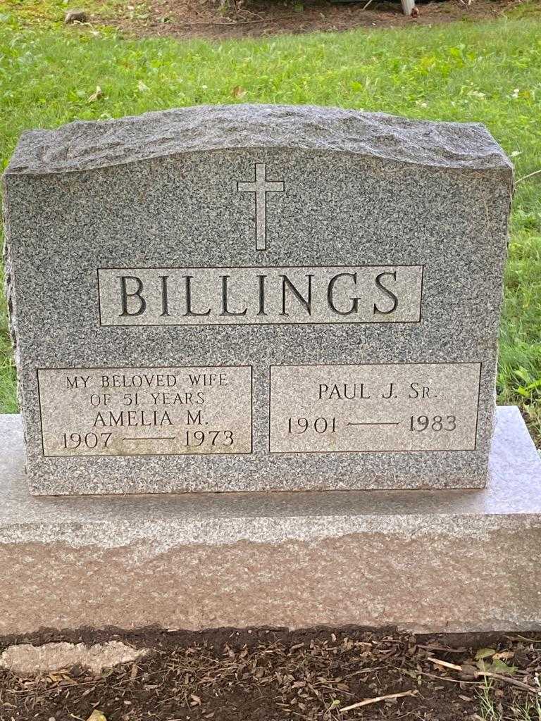 Amelia M. Billings's grave. Photo 3