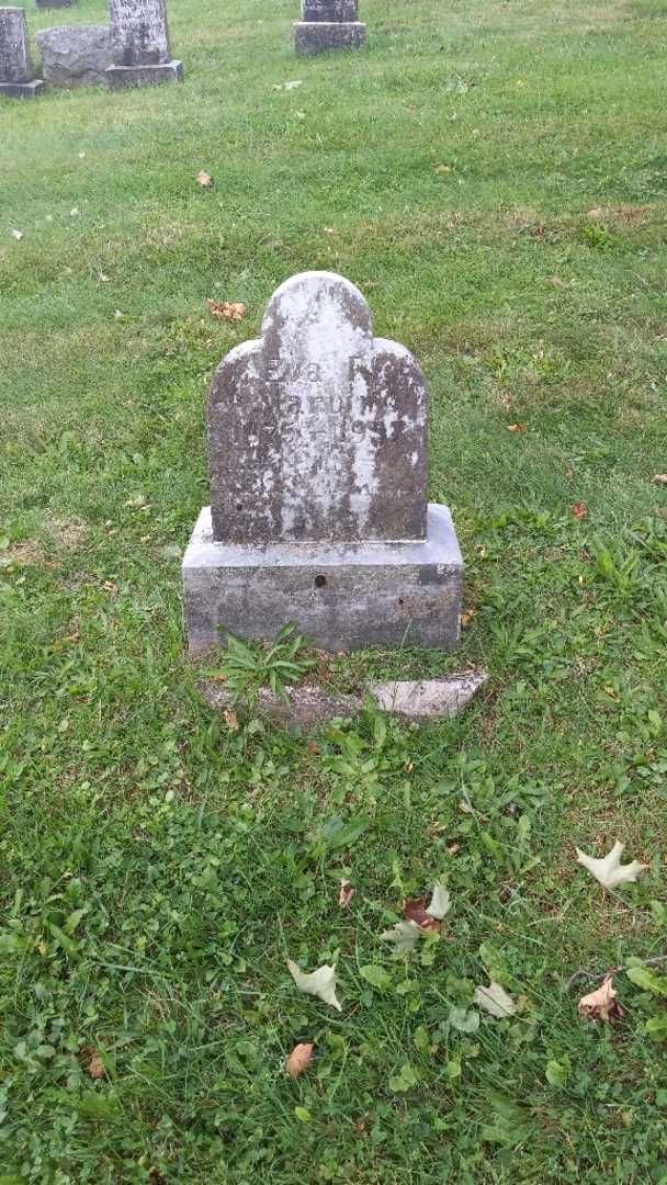 Eva F. Marvin's grave. Photo 2
