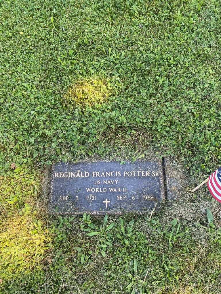Reginald Francis Potter Senior's grave. Photo 3