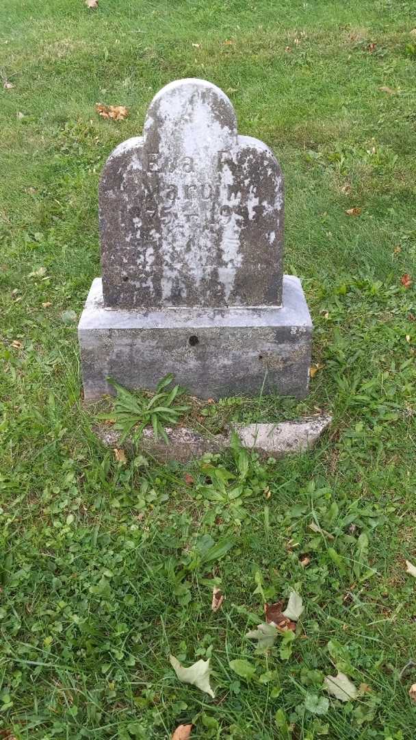 Eva F. Marvin's grave. Photo 3