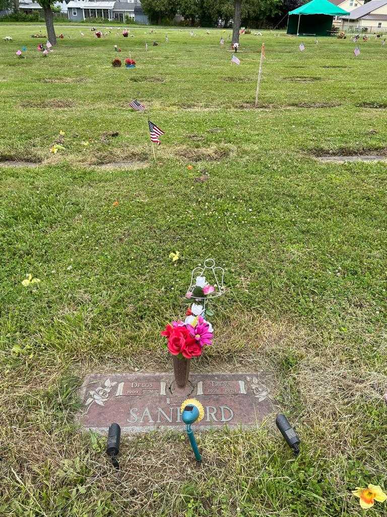 Treva Sanford's grave. Photo 2