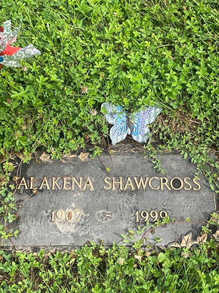 Alakena Shawcross's grave. Photo 3