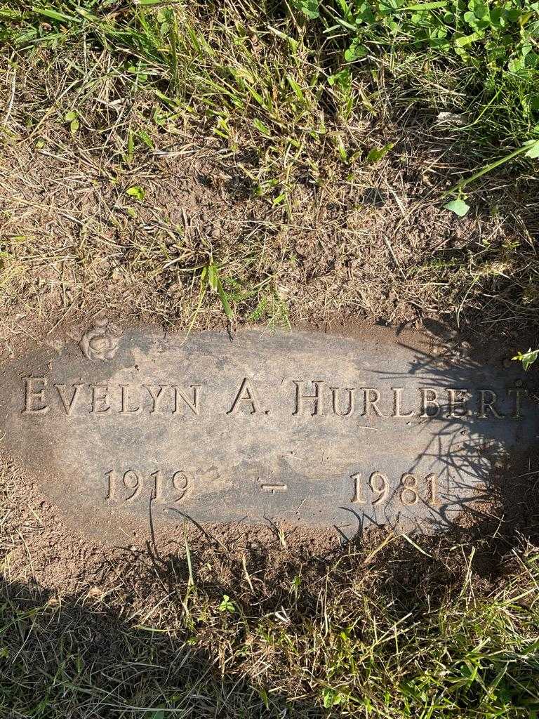 Evelyn A. Hurlbert's grave. Photo 3