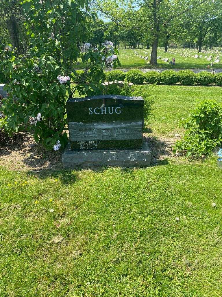 Carol Brush Schug's grave. Photo 2