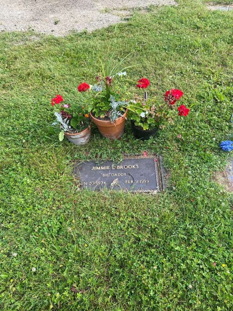 Jimmie L. "Big Daddy" Brooks's grave. Photo 2