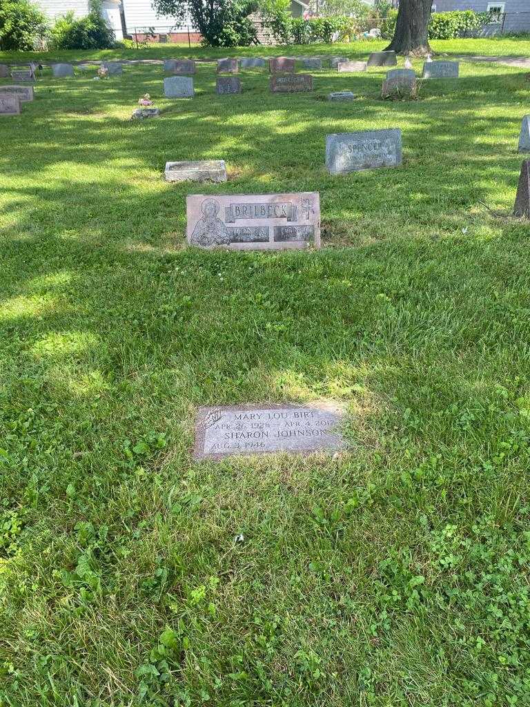 Sharon Johnson's grave. Photo 2