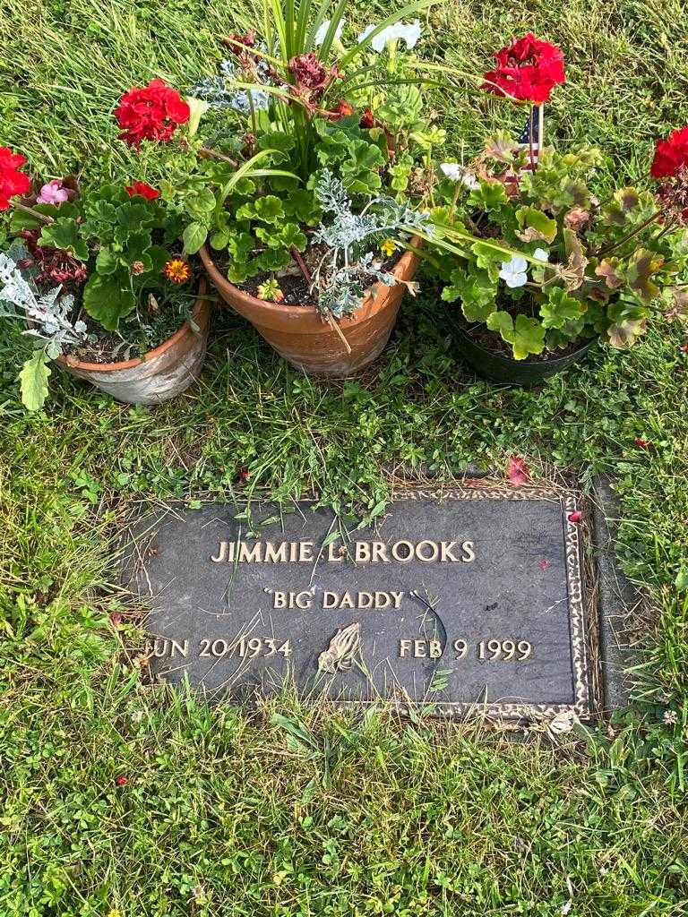 Jimmie L. "Big Daddy" Brooks's grave. Photo 3
